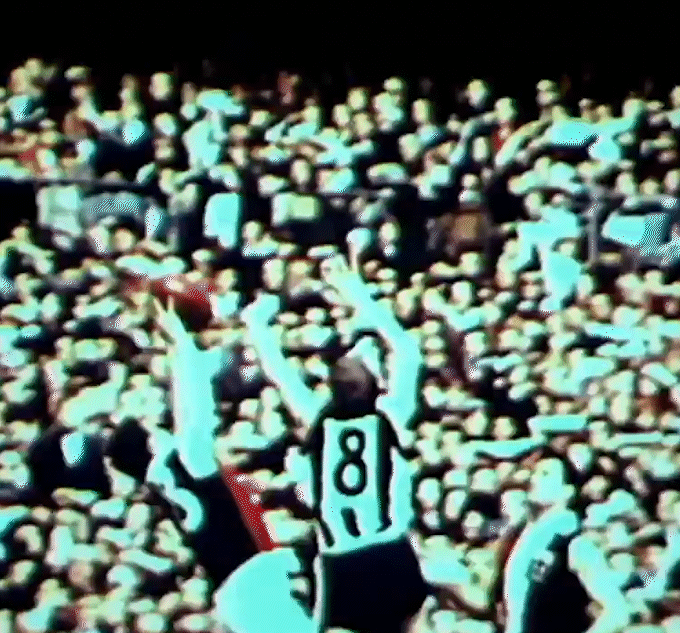 Kevin Neale During the 1966 VFL Season