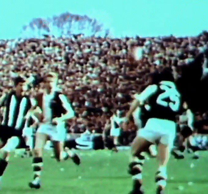 Daryl Griffiths During the 1966 VFL Season