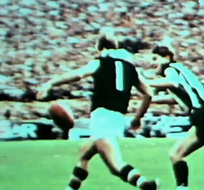 Rodger Head During the 1966 VFL Season