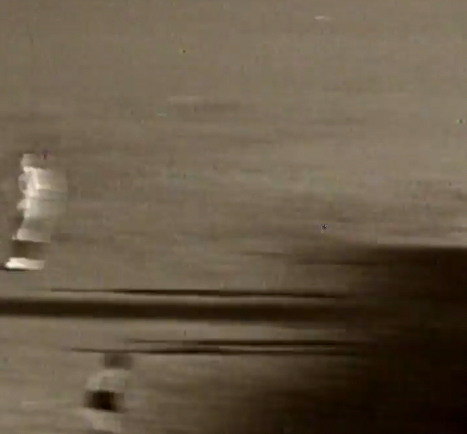 Brian Mynott During the 1966 VFL Season