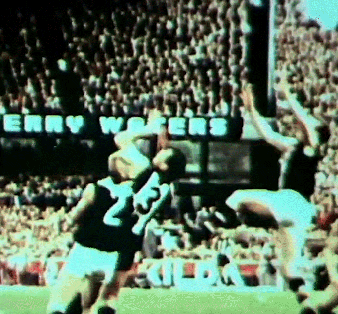 Ian Stewart During the 1966 VFL Season